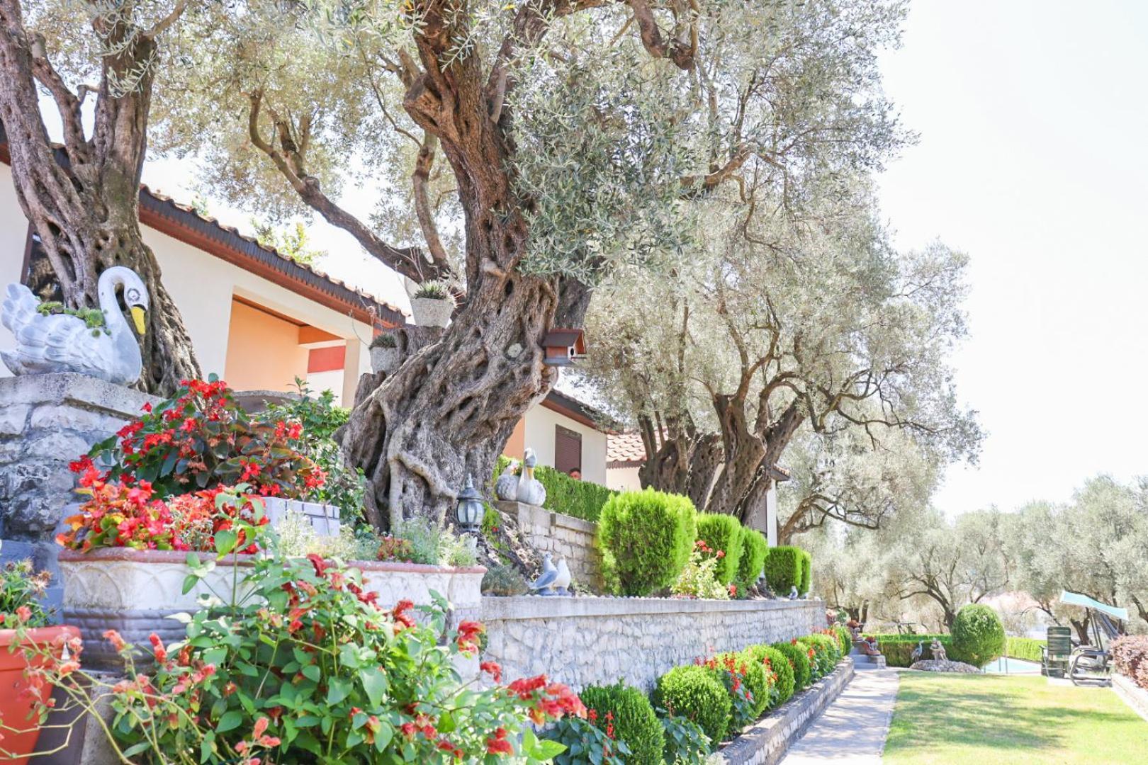 Hilja'S Oliven Garden Bungalows Улцин Екстериор снимка