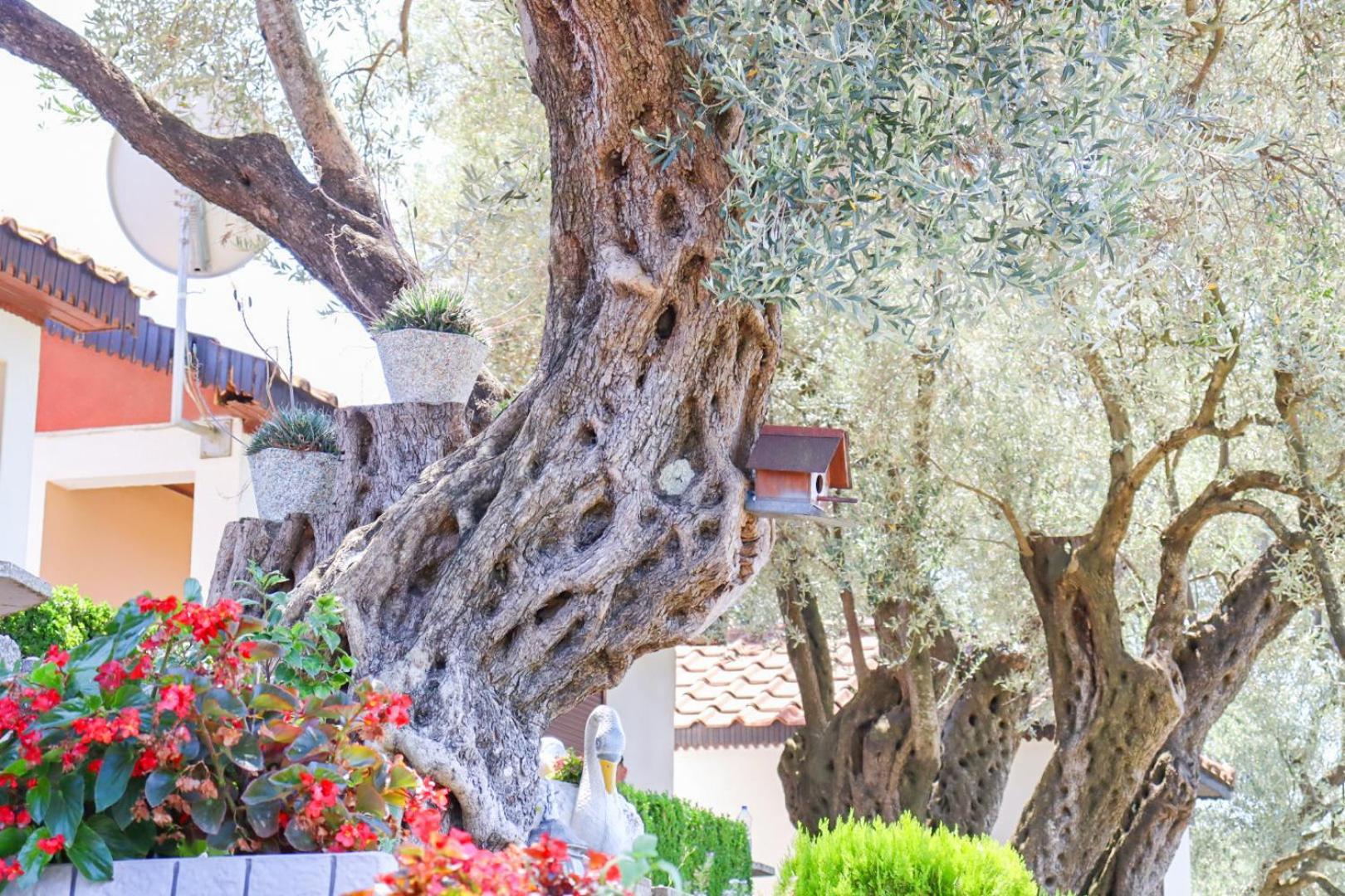 Hilja'S Oliven Garden Bungalows Улцин Екстериор снимка