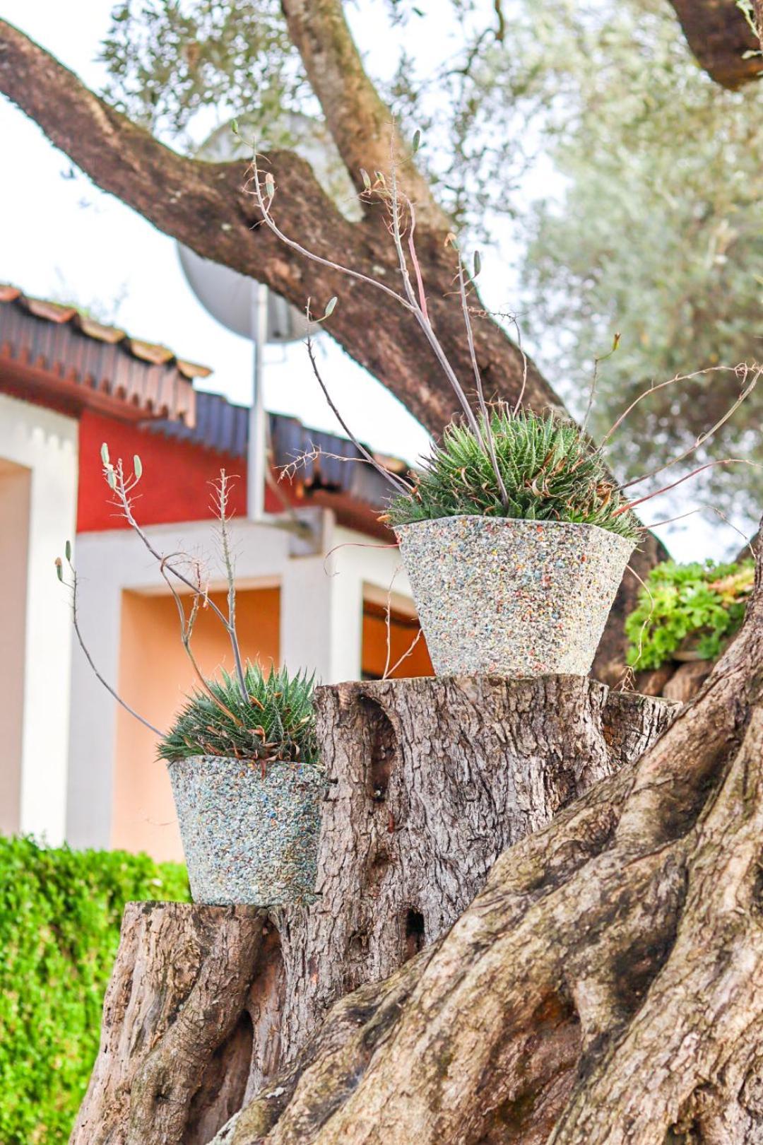 Hilja'S Oliven Garden Bungalows Улцин Екстериор снимка