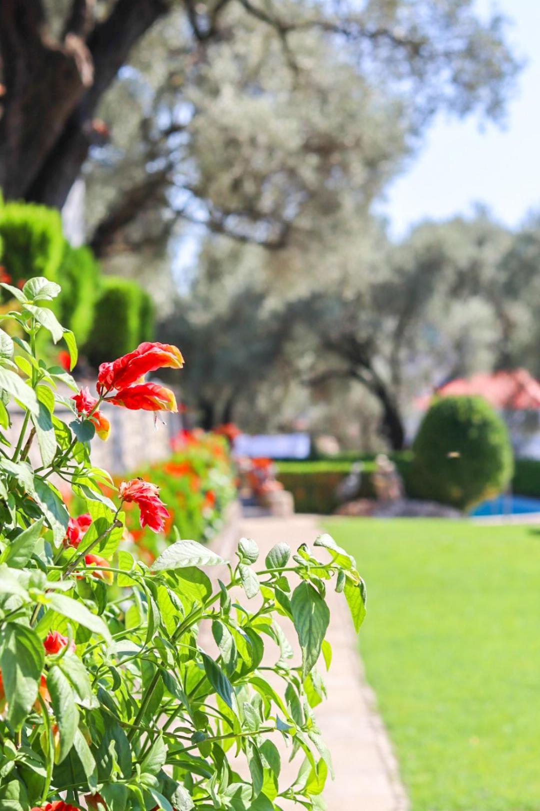 Hilja'S Oliven Garden Bungalows Улцин Екстериор снимка