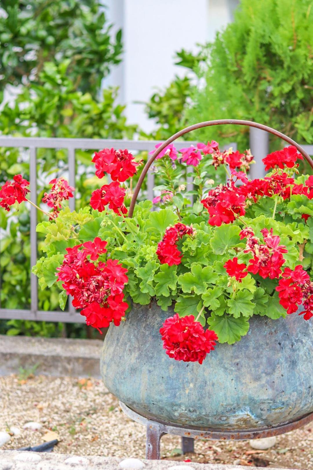 Hilja'S Oliven Garden Bungalows Улцин Екстериор снимка