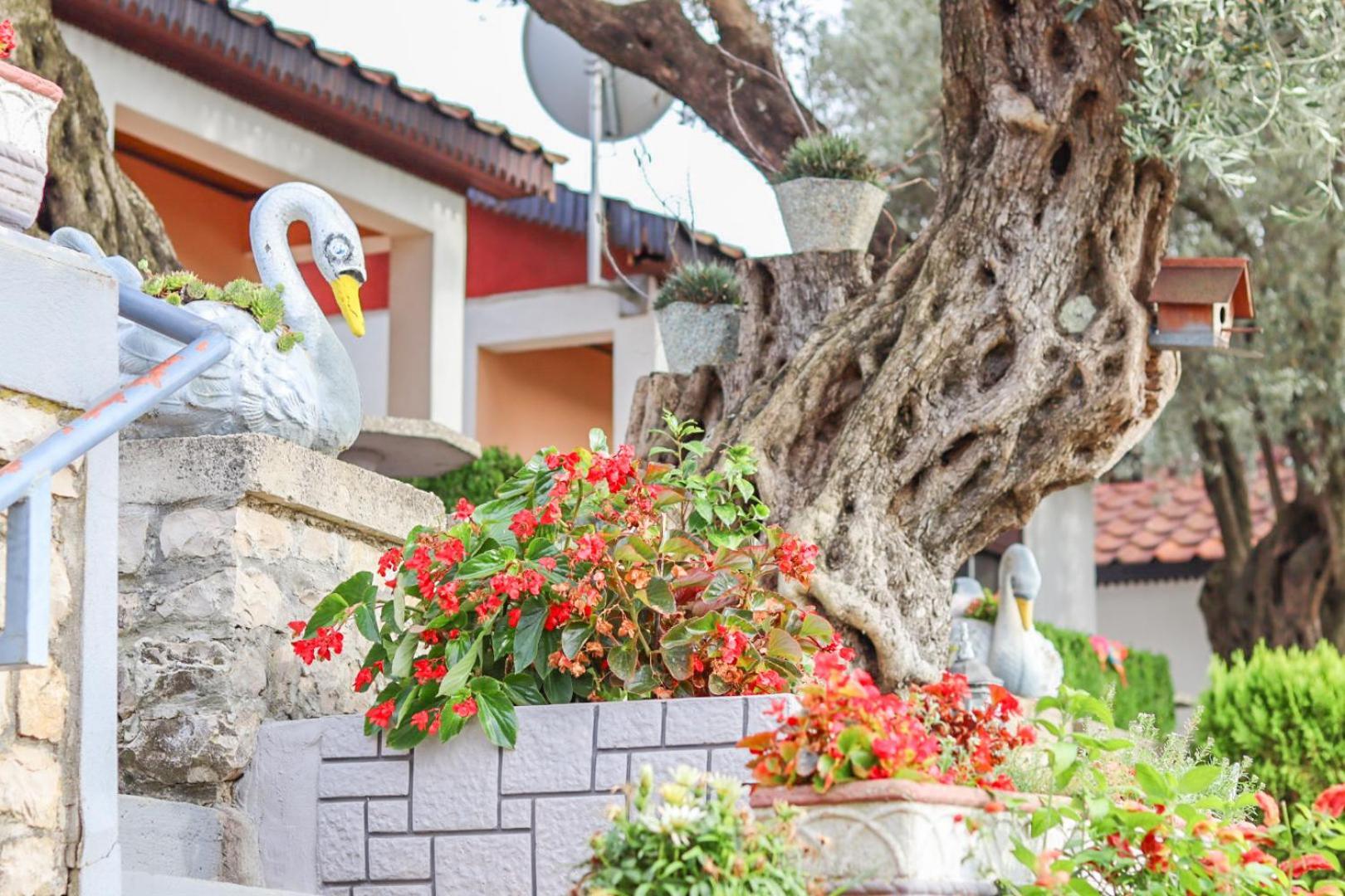 Hilja'S Oliven Garden Bungalows Улцин Екстериор снимка