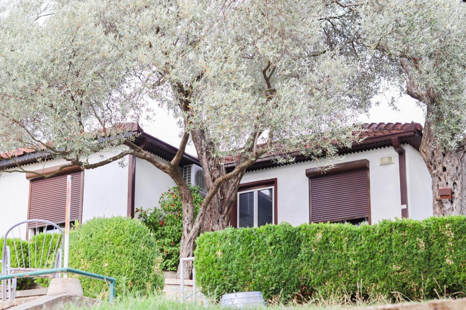 Hilja'S Oliven Garden Bungalows Улцин Екстериор снимка