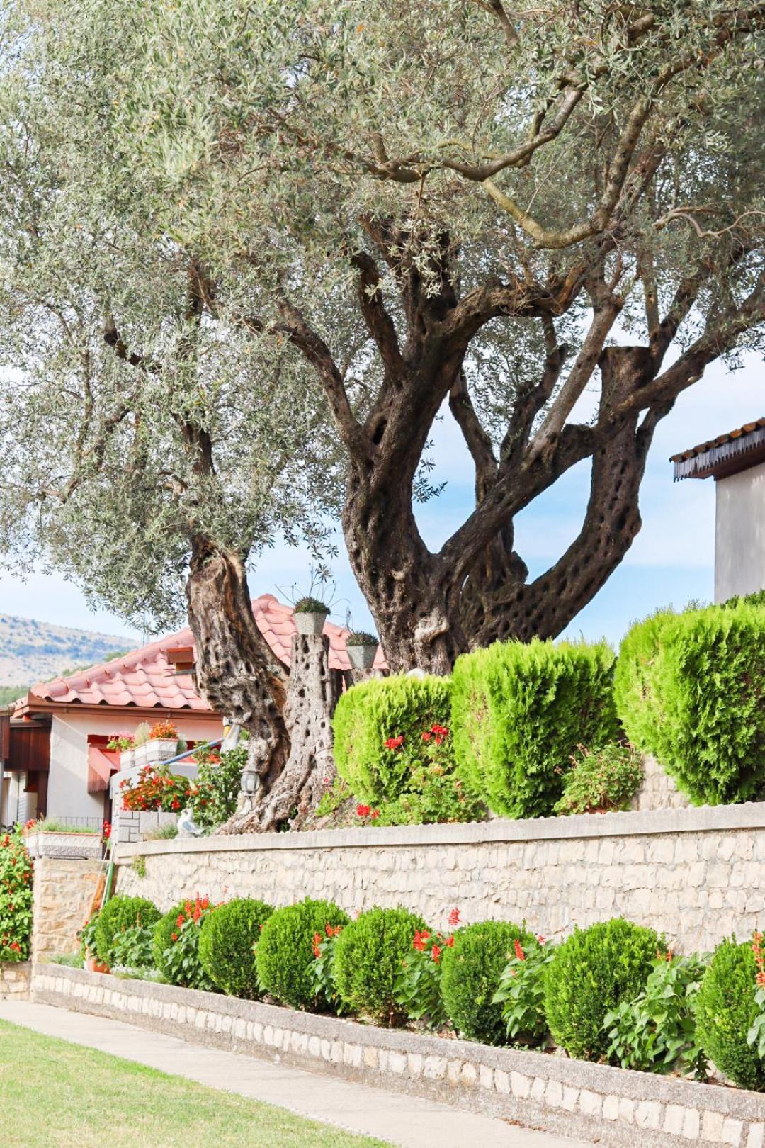 Hilja'S Oliven Garden Bungalows Улцин Екстериор снимка