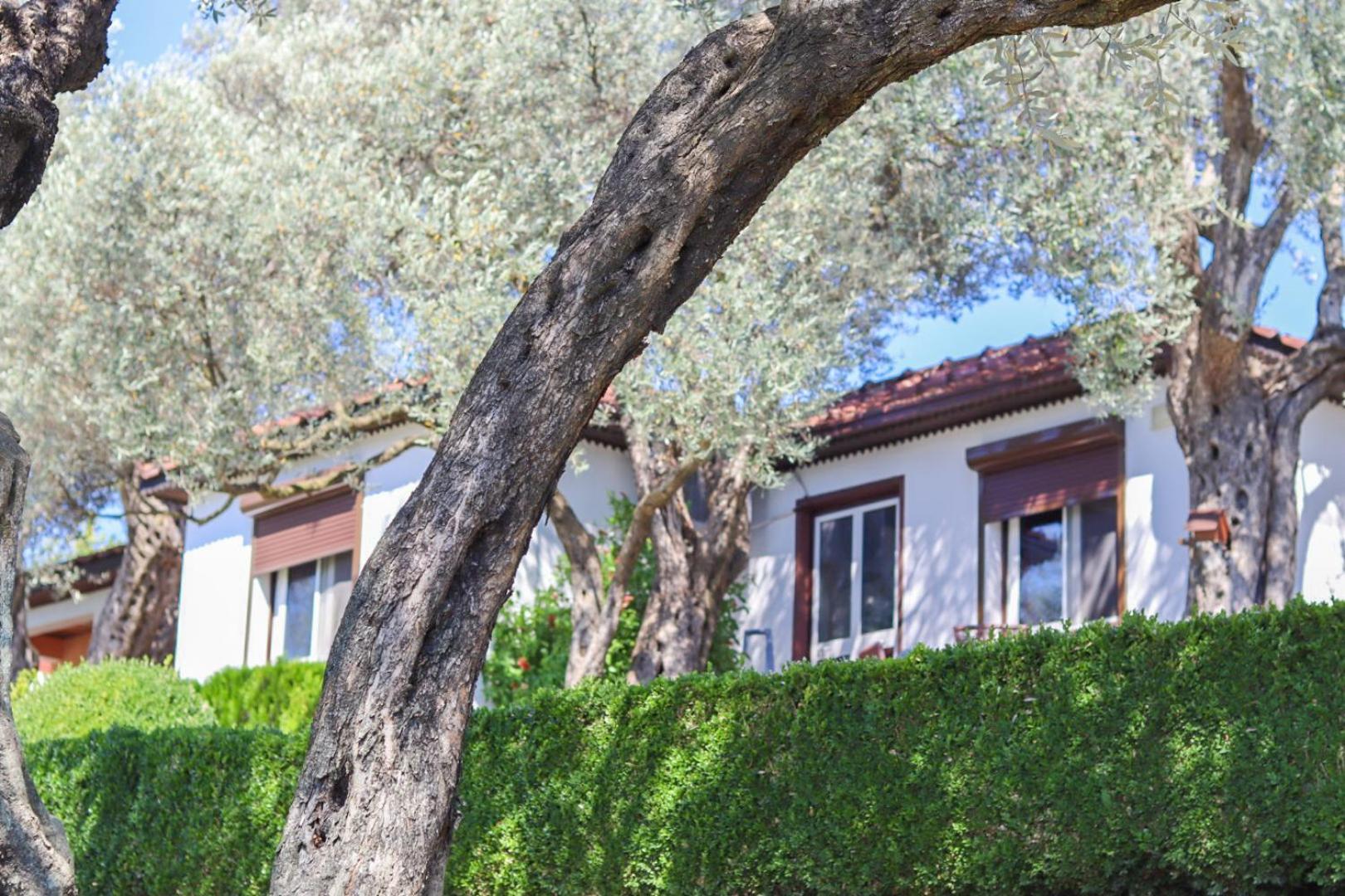 Hilja'S Oliven Garden Bungalows Улцин Екстериор снимка
